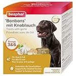 Les Effets de l'Intoxication à l'Oignon chez les Chiens : Conseils et Produits Recommandés pour les Propriétaires Responsables Les Effets de l'Intoxication à l'Oignon chez les Chiens : Conseils et Produits Recommandés pour les Propriétaires Responsables