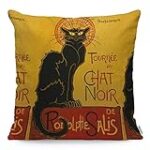 Le Toulouse Lautrec du monde animal : Comparaison des meilleurs produits pour chat noir
