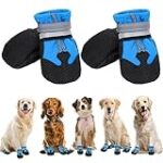 Comparatif des meilleures protections pour les pattes de chien dans la neige : quel produit choisir pour protéger votre compagnon ?