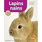 Comparatif des meilleurs prix pour lapins nains : quelles offres choisir pour votre animal de compagnie?