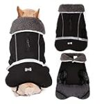 Comparatif des meilleurs manteaux pour chiens : comment choisir le modèle idéal pour votre compagnon à quatre pattes