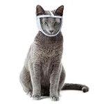 Comparatif des meilleurs produits pour chat au museau plat : quels articles choisir pour votre compagnon ?