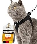 Les meilleurs produits pour votre chat bengal noir : analyse et comparaison des options indispensables !