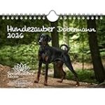 Guide d'adoption d'un chiot Dobermann : Analyse et comparaison des meilleurs produits pour votre nouveau compagnon à quatre pattes