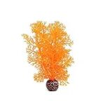 Les meilleures friandises au corail orange pour animaux de compagnie : comparaison des produits les plus appréciés