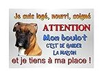 Les Meilleurs Produits pour Chien Boxer Américain : Guide d'Analyse et de Comparaison