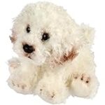 Top 5 des produits essentiels pour chouchouter votre Caniche Bichon Frisé