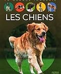Les Meilleurs Produits pour Chiens de Traîneau : Analyse et Comparaison des Races Adaptées