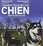 Guide complet : Comment éduquer un chien adulte adopté et sélection des meilleurs produits pour son bien-être
