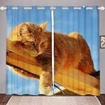 Comparaison des meilleurs produits pour chat somali bleu : Guide d'achat complet