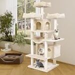 Analyse de l'observance chez le chat : Comparez les meilleurs produits pour garantir le bien-être de votre animal de compagnie