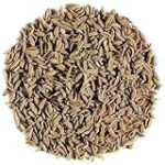 Fenouille pour chien : Analyse et comparaison des meilleurs produits pour animaux de compagnie