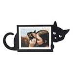 La pelade du chat en images : Analyse et comparaison des meilleurs traitements pour soulager votre compagnon félin