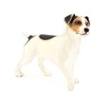 Comparaison des meilleurs produits pour animaux de compagnie pour le croisé Jack Russel et Fox Terrier: Quel équipement choisir? Comparaison des meilleurs produits pour animaux de compagnie pour le croisé Jack Russel et Fox Terrier: Quel équipement choisir?