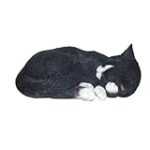 Les meilleurs produits pour animaux de compagnie pour assurer le confort du chat blanc qui dort