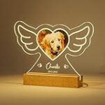 Pourquoi un chien éternue : Analyse et comparaison des meilleurs produits pour animaux de compagnie à adopter Pourquoi un chien éternue : Analyse et comparaison des meilleurs produits pour animaux de compagnie à adopter