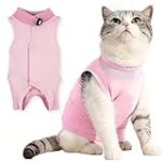 Fréquence des selles chez le chat : Combien de fois par jour est-il normal ?