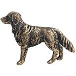 Découvrez si votre chien voit les couleurs : Analyse et comparaison des meilleurs produits pour animaux de compagnie