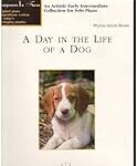 À quel âge un chien est adulte mentalement : Guide complet pour choisir les meilleurs produits pour votre compagnon à quatre pattes