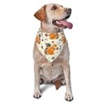Les Meilleurs Produits pour Chien qui Mangent des Noix: Analyse et Comparaison