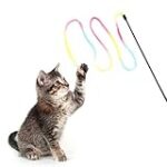 Comment attraper un chaton : Guide d'achat des meilleurs produits pour animaux de compagnie adaptés aux petits félins