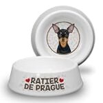 Analyse et comparaison des meilleurs produits pour chien Ratier de Prague: Guide d'achat complet