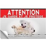 Les Meilleurs Produits pour Animaux de Compagnie Adaptés au Golden Retriever, un Chien de Chasse Les Meilleurs Produits pour Animaux de Compagnie Adaptés au Golden Retriever, un Chien de Chasse