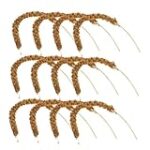 Comparatif des meilleures marques de nourriture pour perroquets Gris du Gabon