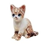 Les Meilleurs Produits pour Chaton Tigre à Poil Long : Comparatif et Analyse