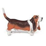 Guide complet de comparaison des produits pour le poids idéal du Basset Hound