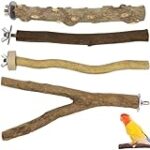 Les meilleurs perchoirs sur pied pour perroquet : comparatif complet pour votre compagnon à plumes