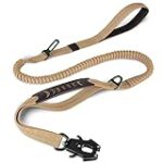 Guide d'achat : les meilleures options de marron pour chien pour votre animal de compagnie