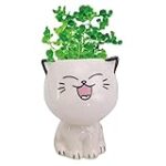 Meilleurs produits pour chat pot : Analyse et comparaison des options au top pour votre félin préféré