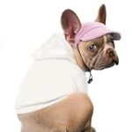 Les meilleures casquettes pour bouledogue français : Comparatif et analyse des produits pour animaux de compagnie Les meilleures casquettes pour bouledogue français : Comparatif et analyse des produits pour animaux de compagnie