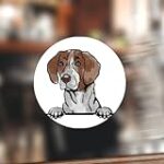 Les Meilleurs Produits pour Lévrier à Poil Court : Analyse et Comparaison Les Meilleurs Produits pour Lévrier à Poil Court : Analyse et Comparaison