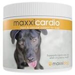 Analyse et comparaison des meilleurs produits pour animaux de compagnie : Comment surveiller le rythme cardiaque de votre chien au repos