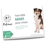 Guide complet sur le gène MDR1 chez les chiens : Comparaison des meilleurs produits pour animaux de compagnie