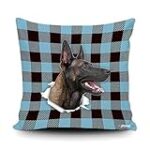 Guide d'achat pour bébé malinois noir : les meilleurs produits pour chouchouter votre compagnon à quatre pattes