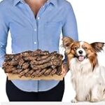 Les meilleurs produits pour animaux de compagnie : Analyse et comparaison des accessoires indispensables pour un chien sans cou