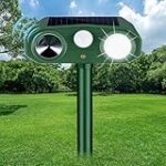 Le meilleur jardin pour chat : analyse et comparaison des produits incontournables pour votre compagnon félin Le meilleur jardin pour chat : analyse et comparaison des produits incontournables pour votre compagnon félin