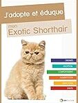 Élevage Exotic Shorthair : Comparaison des meilleurs produits pour ces adorables félins