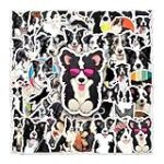Comparatif des meilleurs produits pour animaux de compagnie : le Patou croisé Border Collie, un compagnon à ne pas négliger
