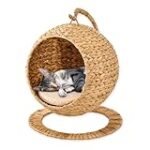 Fauteuil Chat Design : Analyse et Comparaison des Meilleurs Produits pour Animaux de Compagnie