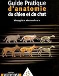Analyse de l'anatomie d'un chien pour choisir les meilleurs produits pour votre animal de compagnie