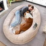 Analyse et comparaison des meilleurs lits pour chien adaptés aux humains