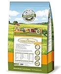 Comparatif des meilleures croquettes belges pour animaux de compagnie : quelles sont les plus adaptées à votre compagnon ?