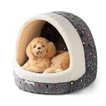 Trouvez les meilleurs accessoires pour chatons à adopter gratuitement dans le département 37 Trouvez les meilleurs accessoires pour chatons à adopter gratuitement dans le département 37