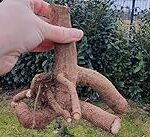 Les arbres à clochettes : comparaison des meilleurs produits pour divertir vos animaux de compagnie !