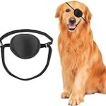 Les 5 meilleurs produits pour soigner le pus oculaire chez les chiens : Analyse et comparaison Les 5 meilleurs produits pour soigner le pus oculaire chez les chiens : Analyse et comparaison