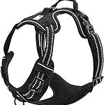 Comparatif des meilleurs harnais True Love pour chien : Trouvez le modèle idéal pour votre compagnon à quatre pattes